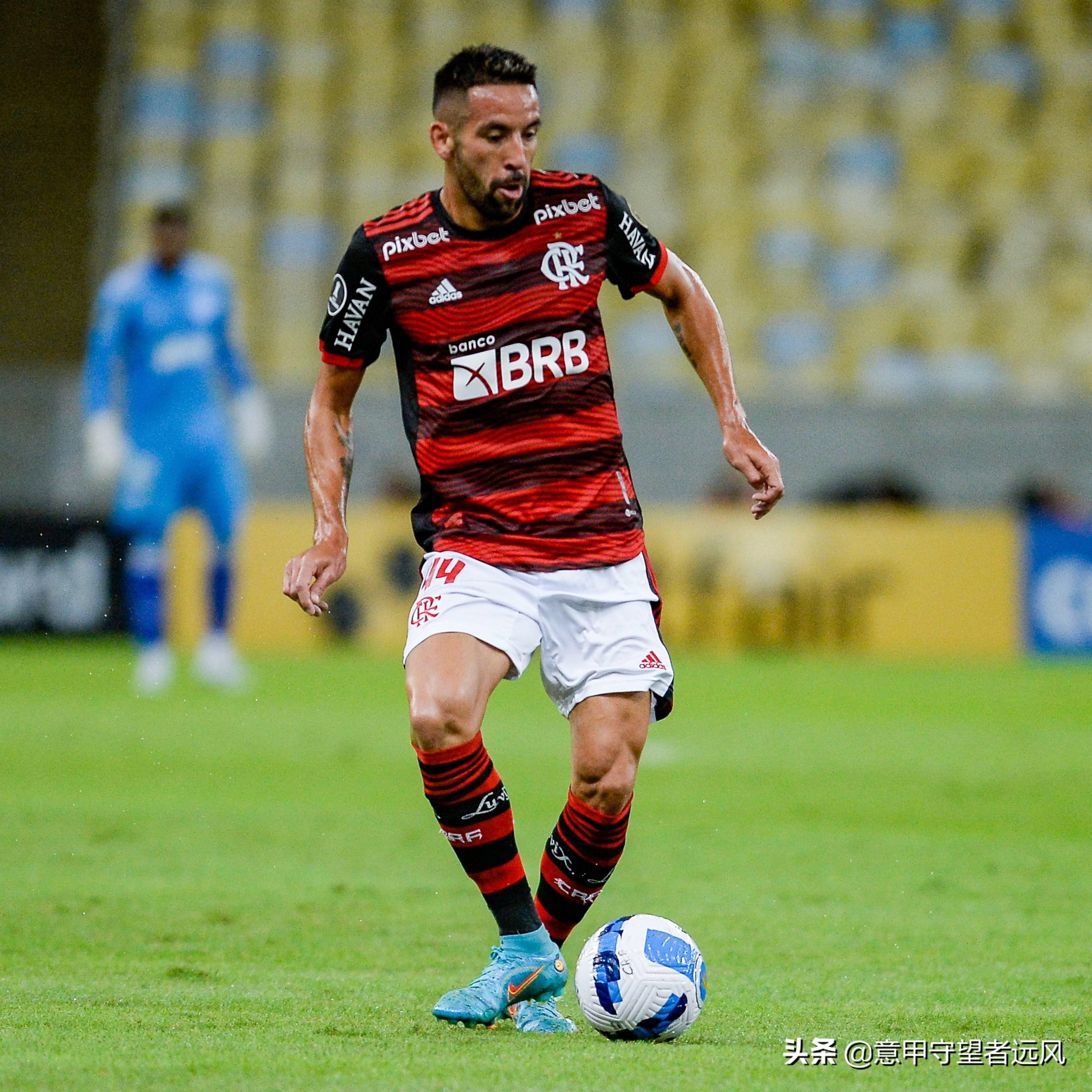 数据分析:弗拉门戈历史战绩与本届展望 数据分析:弗拉门戈历史战绩与本届展望