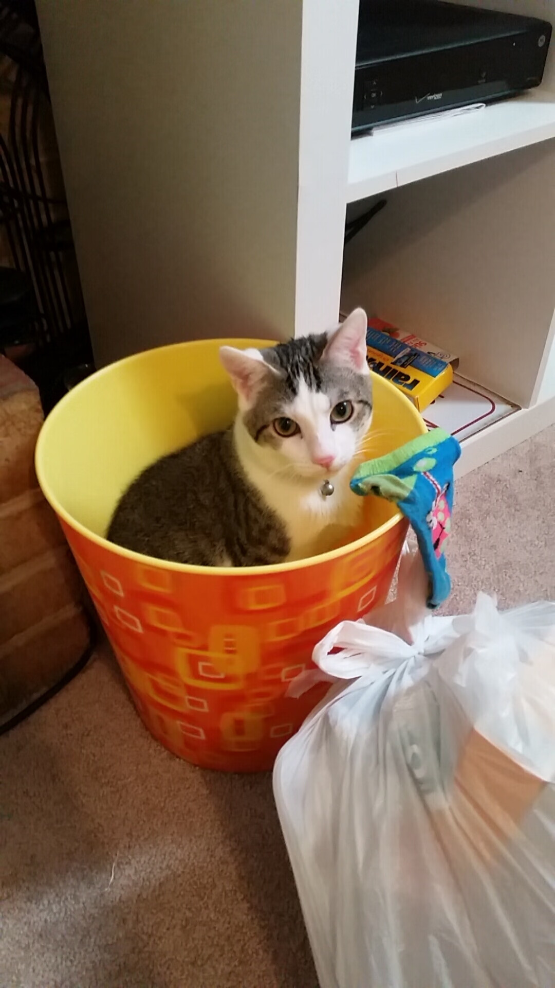 疾速狂飙,当篮球化身街道赛,小贾伦领衔逆转之夜