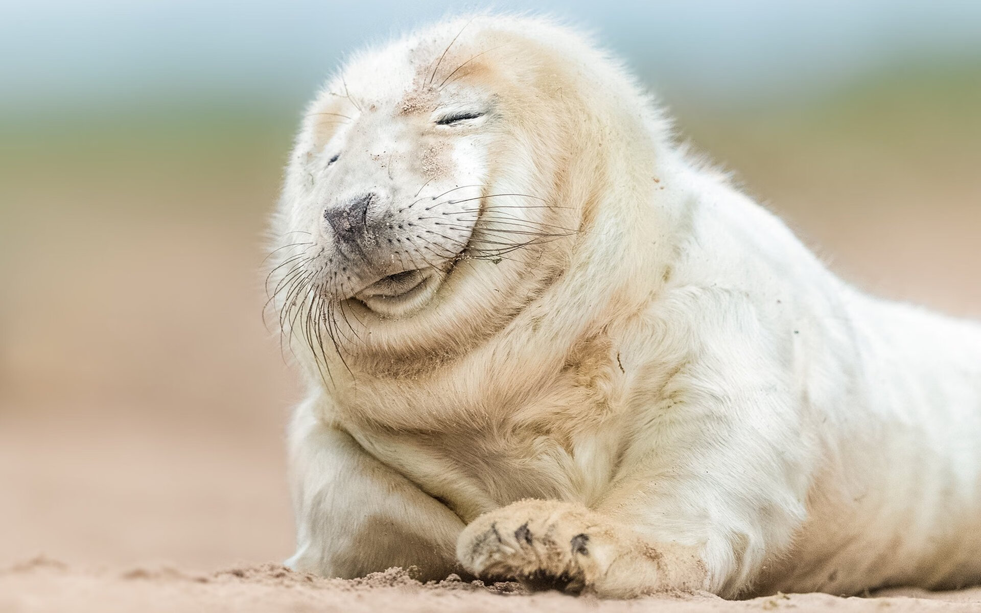 逆流而上，接管命运，从卡塔尔足球奇迹到基米希东决封神