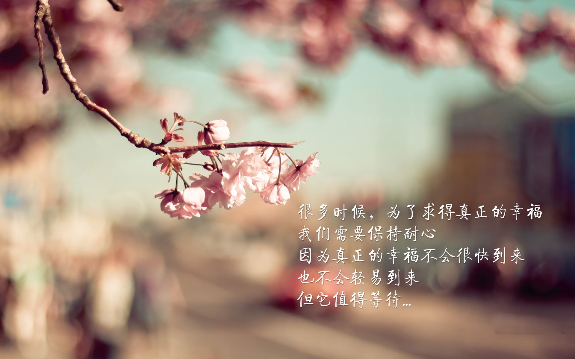 残局时刻,卢卡库一记头槌粉碎了玻利维亚人最后的执念