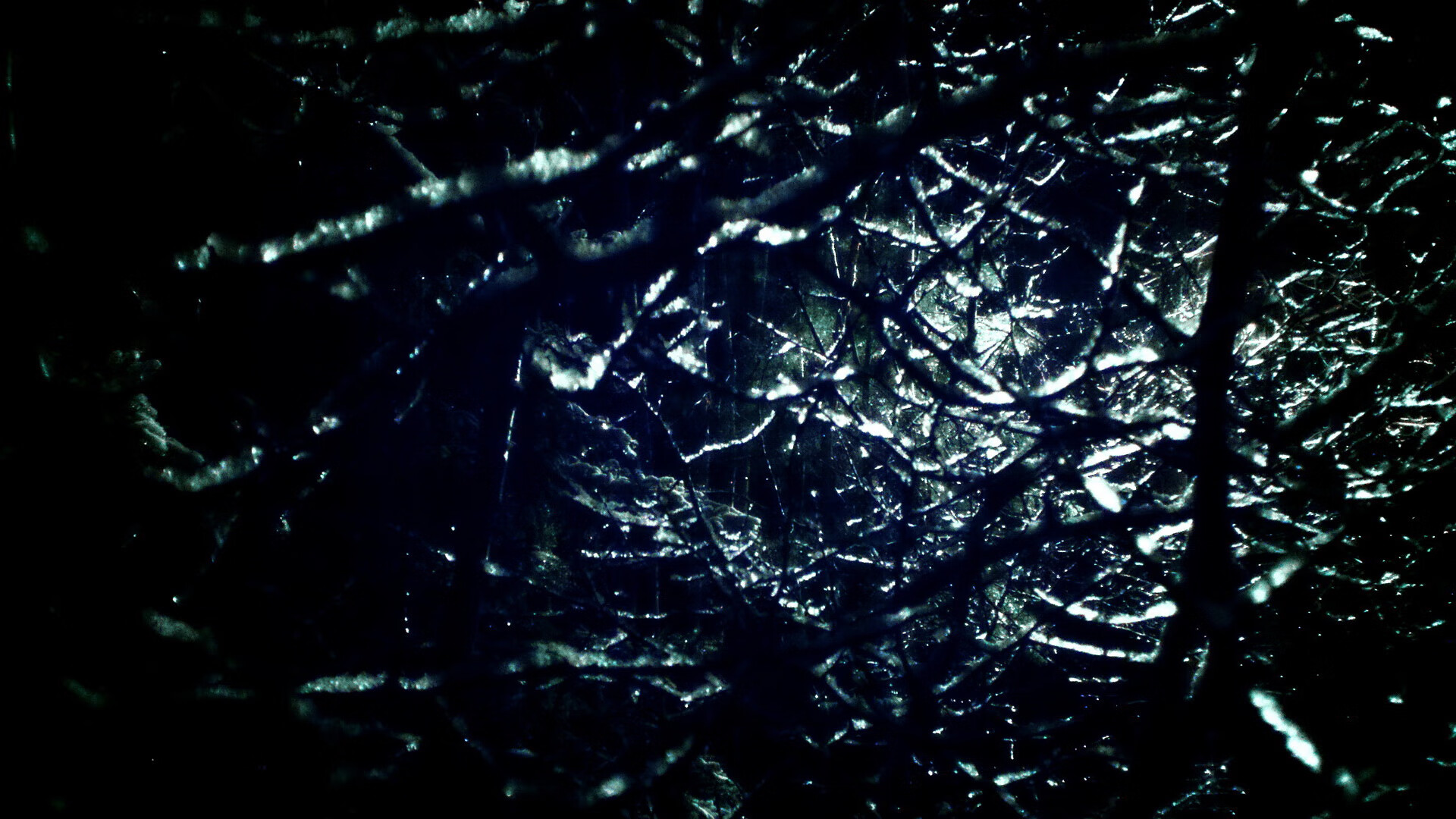 文班亚马统治攻防，国王轻取尼克斯