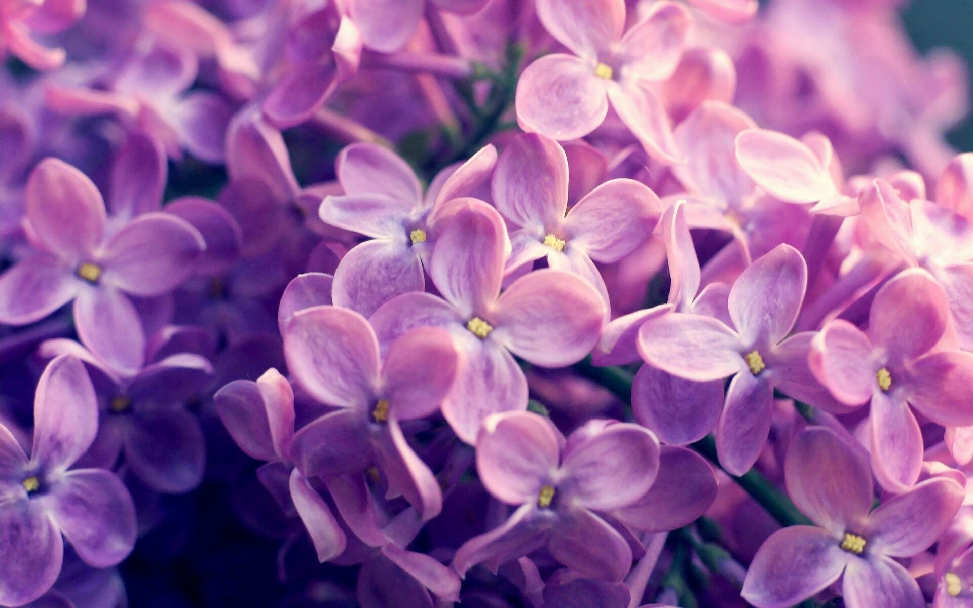 泰山压顶下的哈登终迎爆发，凯尔特人已如轻舟掠过火箭残阵