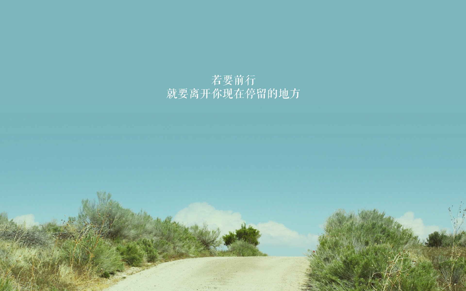 赛道硝烟与绿茵风暴,F1年度争冠与爱尔兰足球胜利背后的竞技灵魂