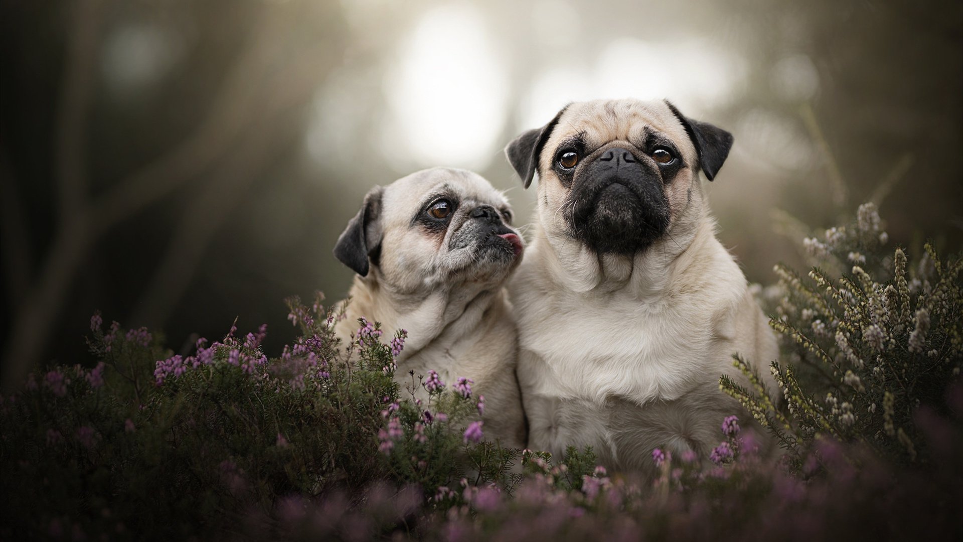 世俱杯决赛-比利亚雷亚尔击溃冰岛，金玟哉筑起叹息之墙