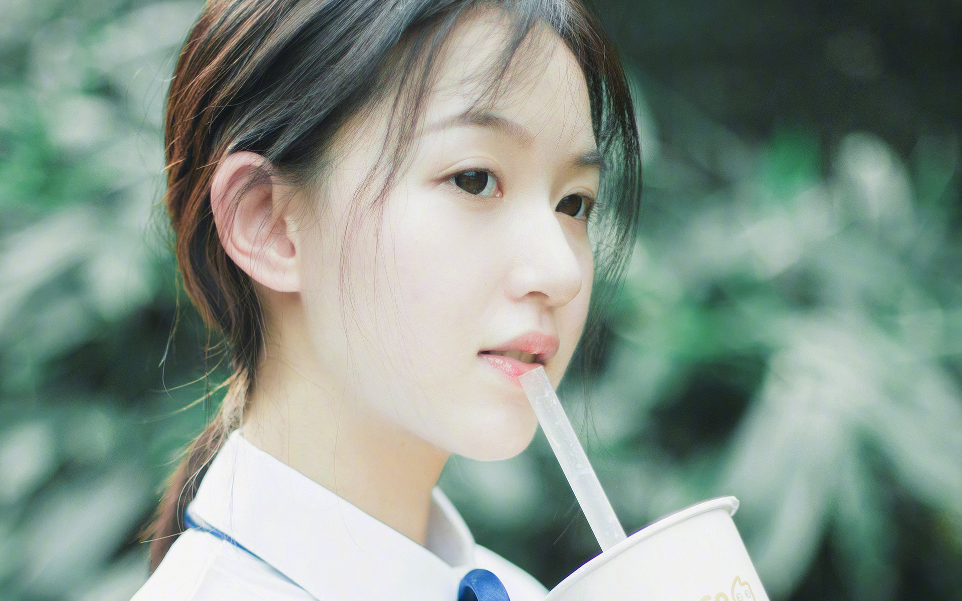 美加墨世界杯焦点战,黄蜂队稳扎稳打,力克广东队晋级之路