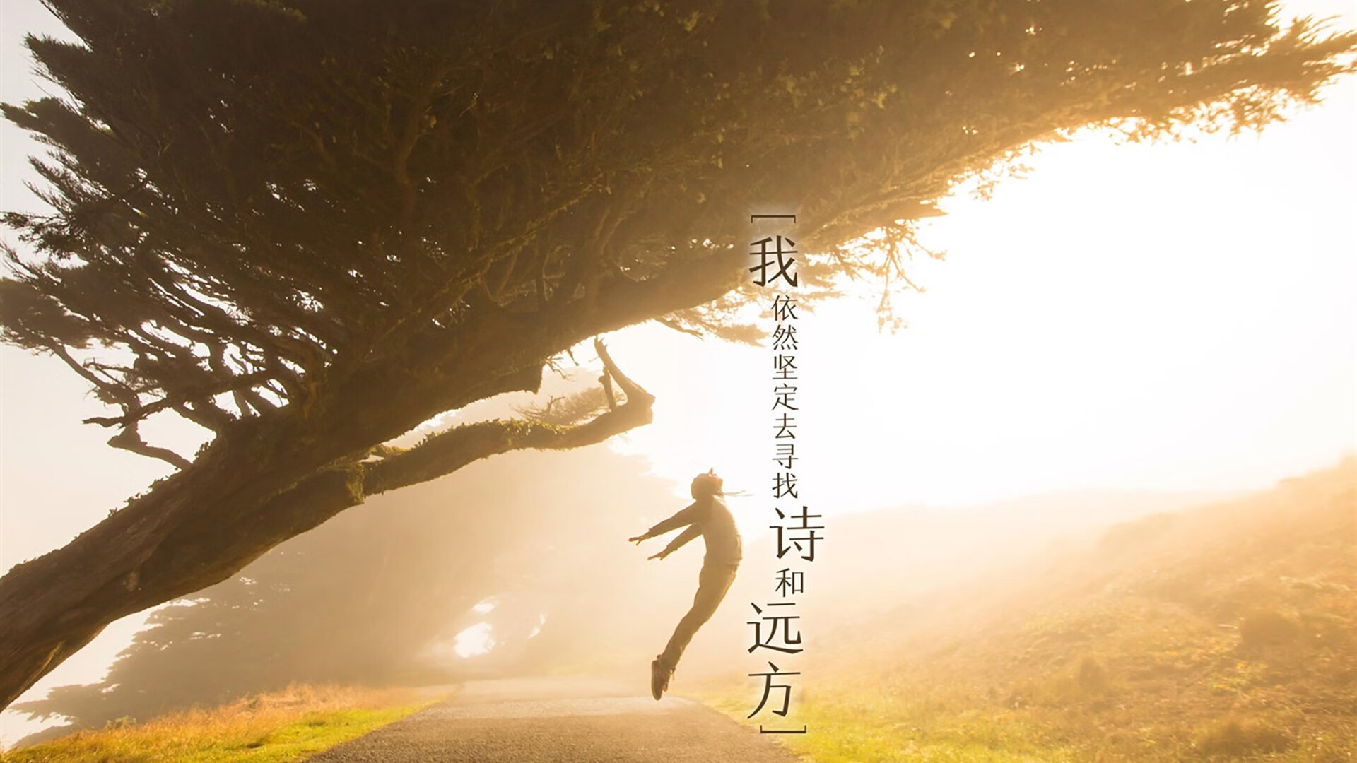 世俱杯时间-教科书级的救赎，孙兴慜在热刺抢七夜的破茧成蝶