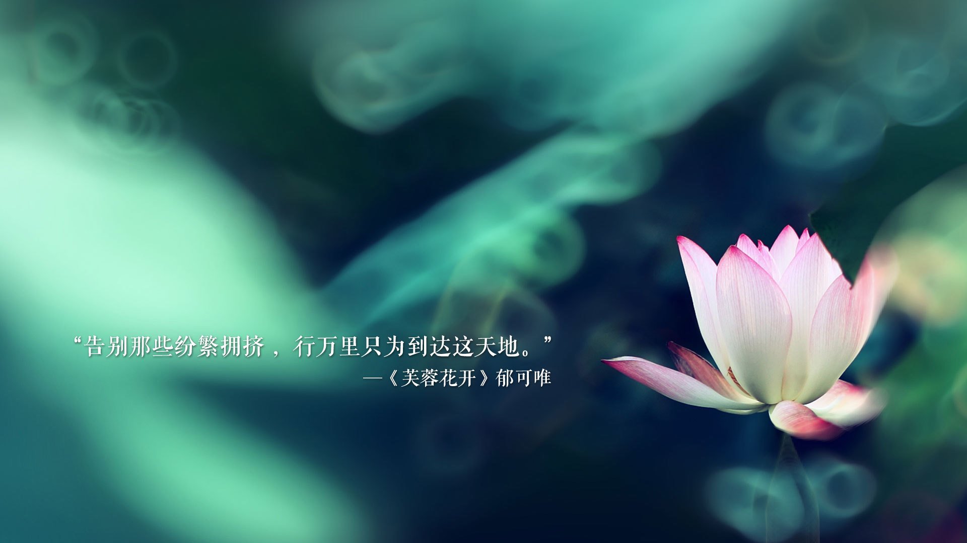 巨星破茧与体系篮球的胜利,班凯罗生涯之夜与爵士击穿掘金的双重启示