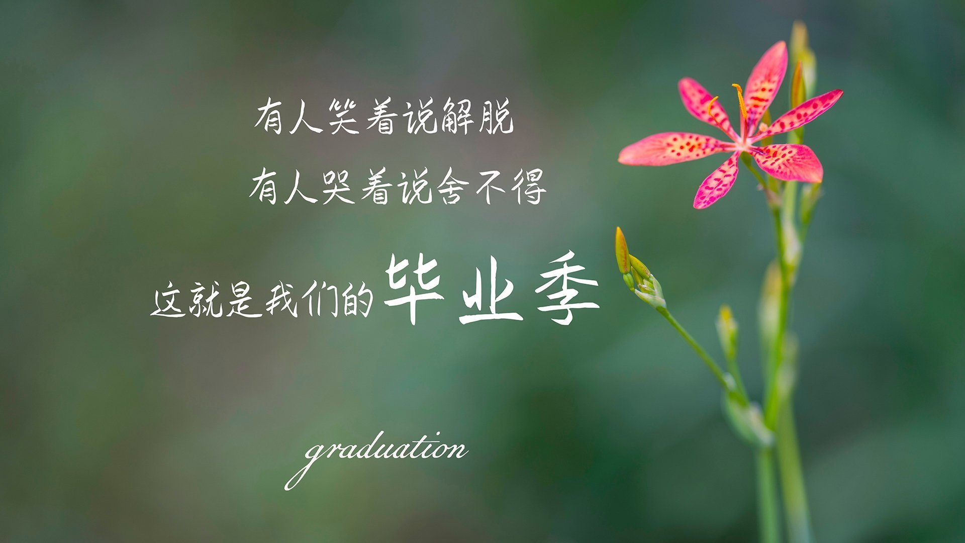 南美雄鹰翱翔云霄,世界杯争冠战强强对话,秘鲁力克芬兰,内马尔闪耀全场
