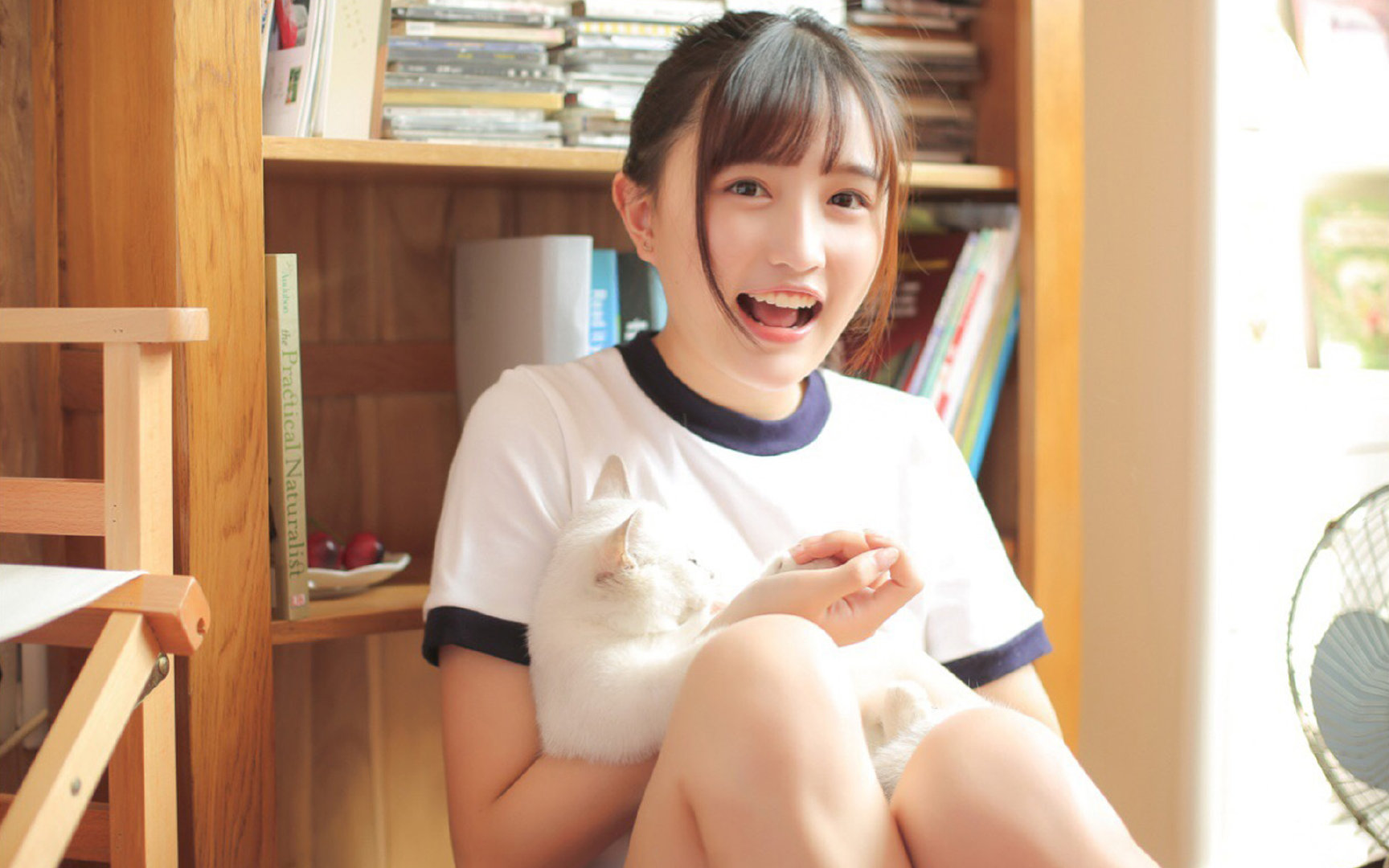 高卢雄鸡踏碎桑巴舞步,2026世界杯D组,法国碾压巴西演绎完美复仇
