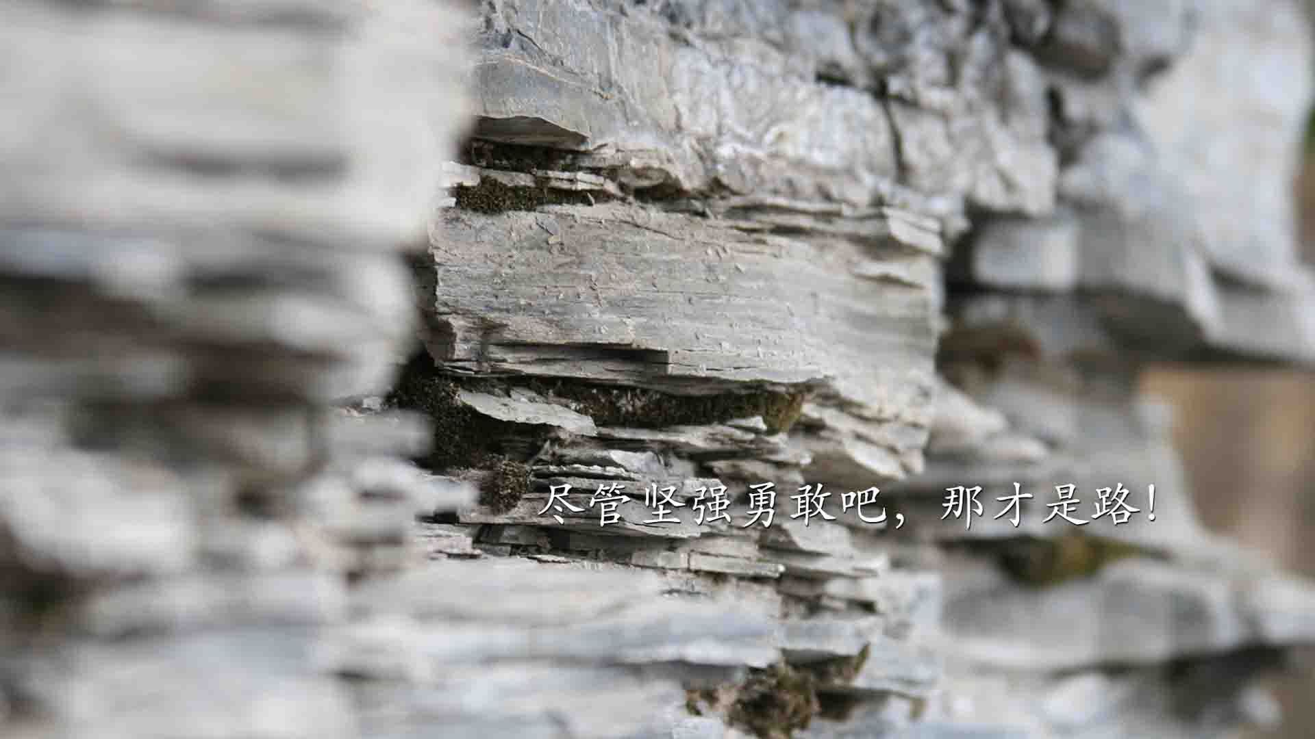 桑巴之舞，高卢之魂，格列兹曼引领巴西险胜秘鲁